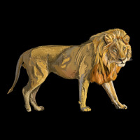 Lion Long Sleeve Tee | Teevron