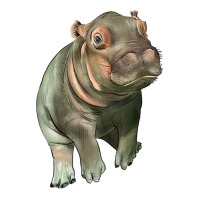 baby hippo | Teevron