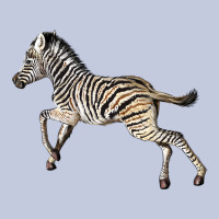 Baby Zebra Long Sleeve Tee | Teevron