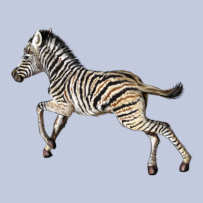 Baby Zebra Long Sleeve Tee by LillyAllenDesigns | Teevron
