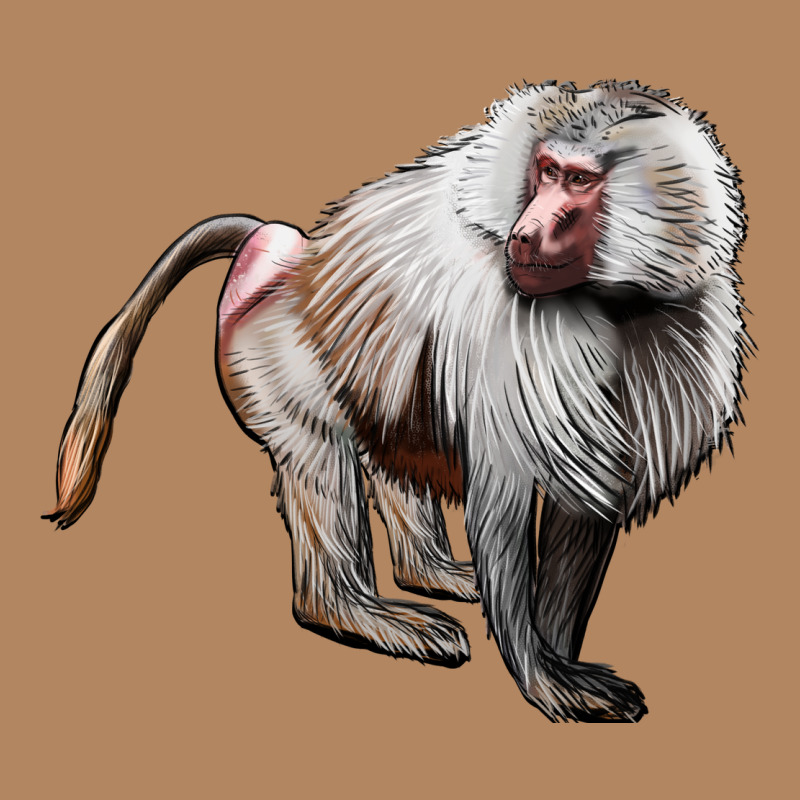 Baboon Long Sleeve Tee by LillyAllenDesigns | Teevron
