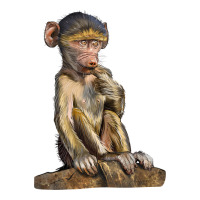 Baby Baboon Illustrations | Teevron