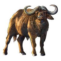 Buffalo | Teevron