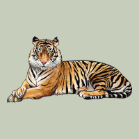 Tiger Long Sleeve Tee | Teevron