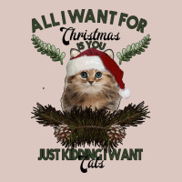 All I Want For Christmas Is You Just Kidding I Want Cats Premium Hoodie | Teevron