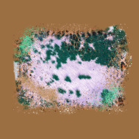 Western Green Cowhide Frame Vintage Tee | Teevron