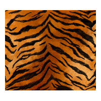 handdrawn tiger pattern | Teevron