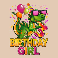 3rd Birthday Girl T Rex Pink Urban Hoodie | Teevron