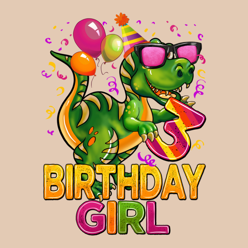 3rd Birthday Girl T Rex Pink Urban Hoodie by CowGirlArtShop | Teevron