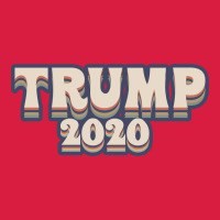 Trump 2020 Premium Hoodie | Teevron