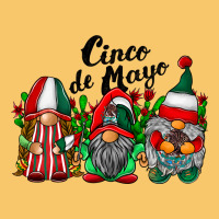 Cinco De Mayo Mexican Flag Gnomes Vintage Hoodie | Teevron