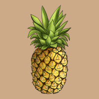 Pineapple Vintage Hoodie | Teevron