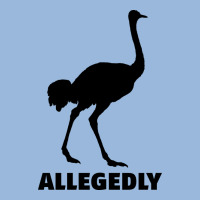 Allegedly Funny Ostrich Premium Hoodie | Teevron