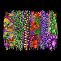 Mardi Gras Brush Strokes King Cake And Craw Fish Premium Tee | Teevron
