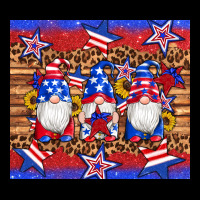 American Flag Gnomes Star Leopard Glitter Tumbler Heavy Core Tee | Teevron