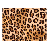 leopard background gold 3200x2400 | Teevron