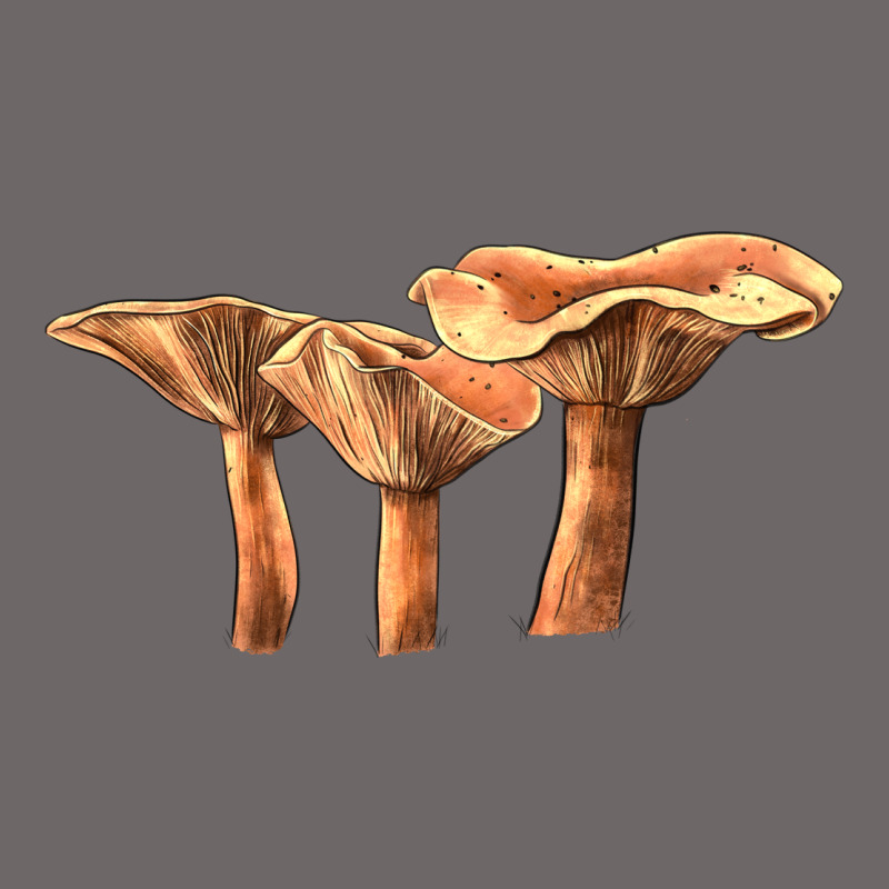 Lactarius Rufus Mushroom Illustrations Classic Tee by LillyAllenDesigns | Teevron