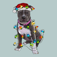 Pitbull With Christmas Lights Heavy Core Tee | Teevron