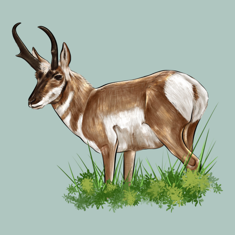 Pronghorn Premium Sweatshirt by LillyAllenDesigns | Teevron