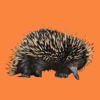 Short Beaked Echidna Premium Sweatshirt | Teevron
