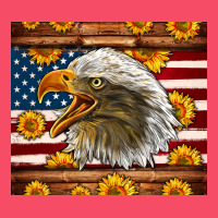 American Flag Eagle Tumbler Premium Sweatshirt | Teevron