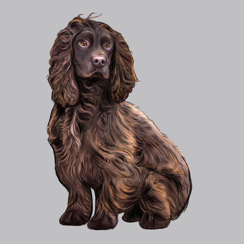 Boykin Spaniel Dog Long Sleeve Tee by LillyAllenDesigns | Teevron