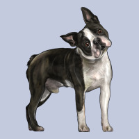 Boston Terrier Long Sleeve Tee | Teevron
