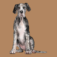 Great Dane Dog Long Sleeve Tee | Teevron