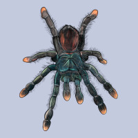 Pink Toe Tarantula Long Sleeve Tee | Teevron