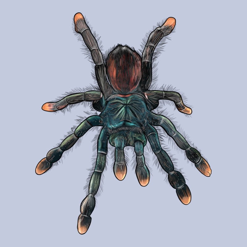 Pink Toe Tarantula Long Sleeve Tee by LillyAllenDesigns | Teevron