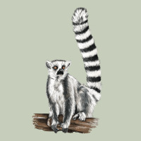 Ringtail Cat Long Sleeve Tee | Teevron