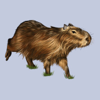Capybara Long Sleeve Tee | Teevron