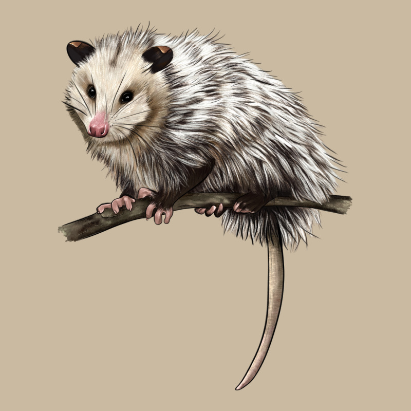 Opossum Long Sleeve Tee by LillyAllenDesigns | Teevron