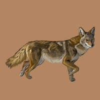 Coyote Long Sleeve Tee | Teevron