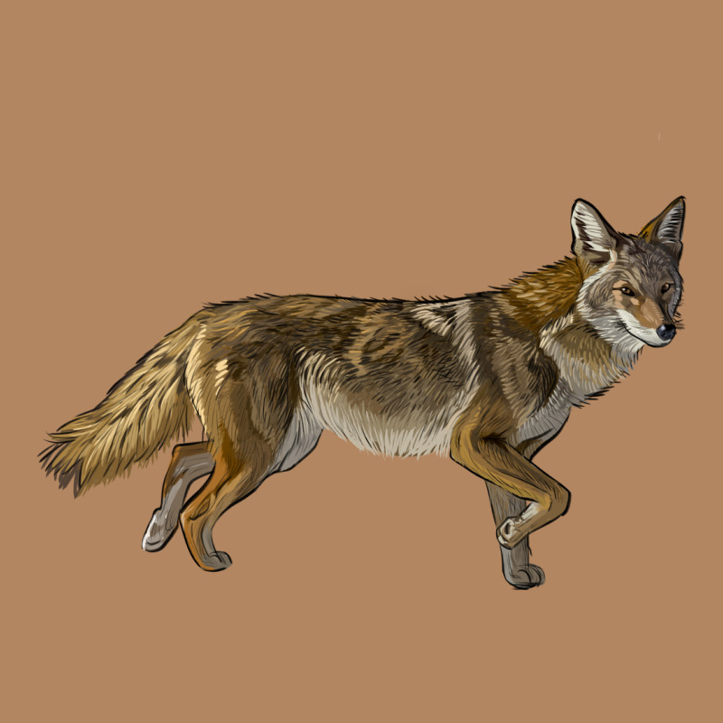 Coyote Long Sleeve Tee by LillyAllenDesigns | Teevron