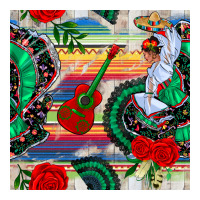 flamenco dancer seamless pattern | Teevron