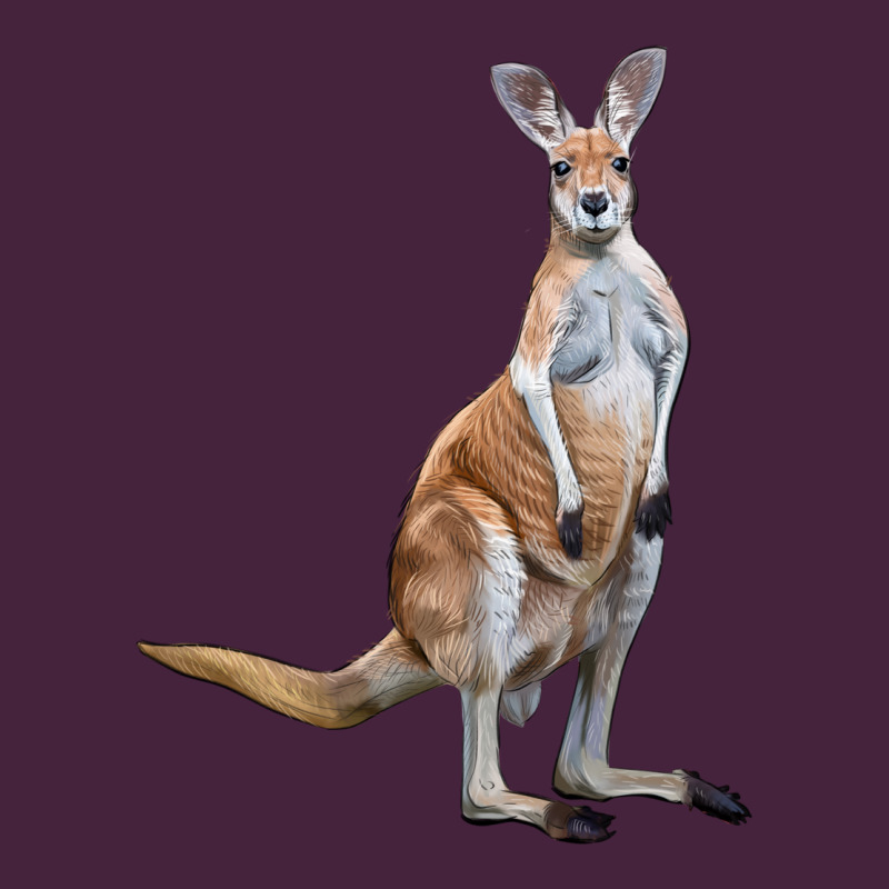 Kangaroo Long Sleeve Tee by LillyAllenDesigns | Teevron