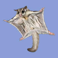 Sugar Glider Long Sleeve Tee | Teevron