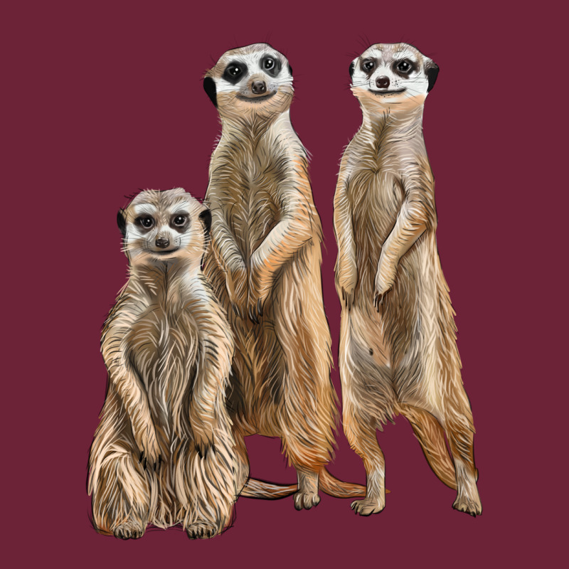 3 Meerkat Long Sleeve Tee by LillyAllenDesigns | Teevron