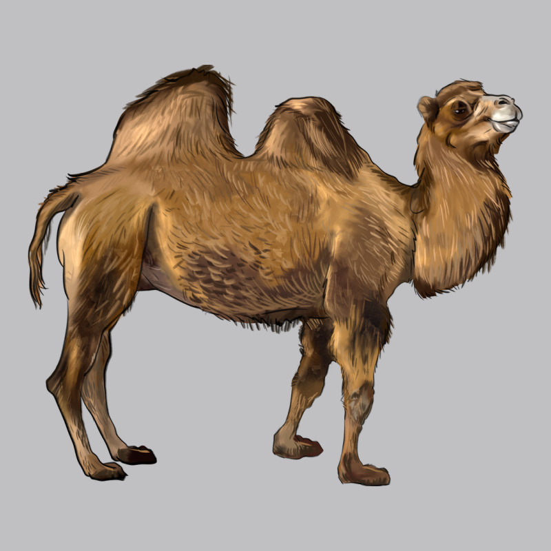 Camel Long Sleeve Tee by LillyAllenDesigns | Teevron