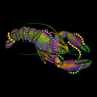 Mardi Gras Crawfish Heavy Core Tee | Teevron
