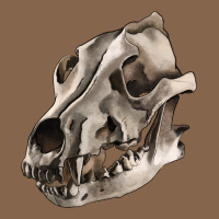 Wolf Skull Premium Tee | Teevron
