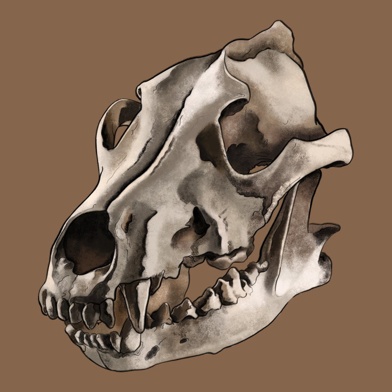 Wolf Skull Premium Tee by RanaPortraitStore | Teevron