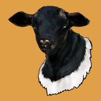 Dorper Sheep Premium Hoodie | Teevron