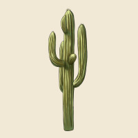 Cactus Premium Tee | Teevron