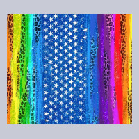 Lgbtq+ Pride American Flag Tumbler Heavyweight Hoodie | Teevron