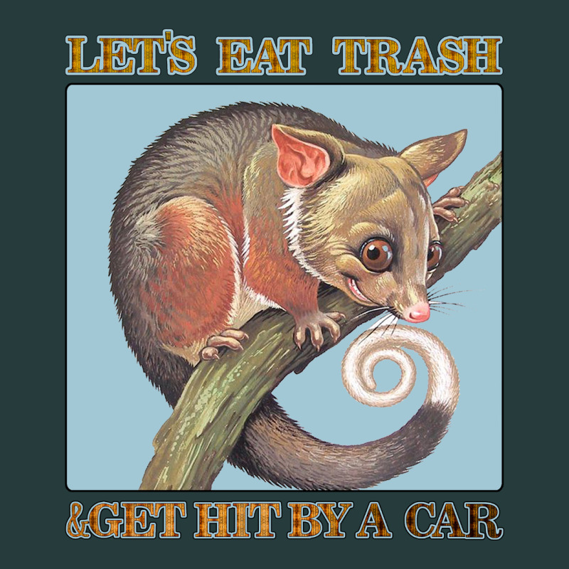 Let's Eat Trash & Get Hit By A Car Premium Hoodie by Bettercallsaul | Teevron
