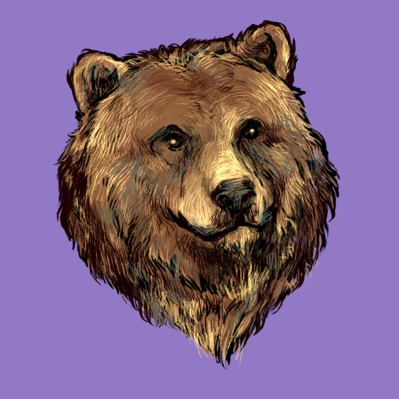 Grizzly Bear Head Urban Hoodie by HowdyJamesFarm | Teevron