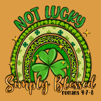 Not Lucky Simply Blessed Rainbow Urban Heavy Tee | Teevron