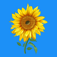Bambino Sunflower Classic Tee | Teevron